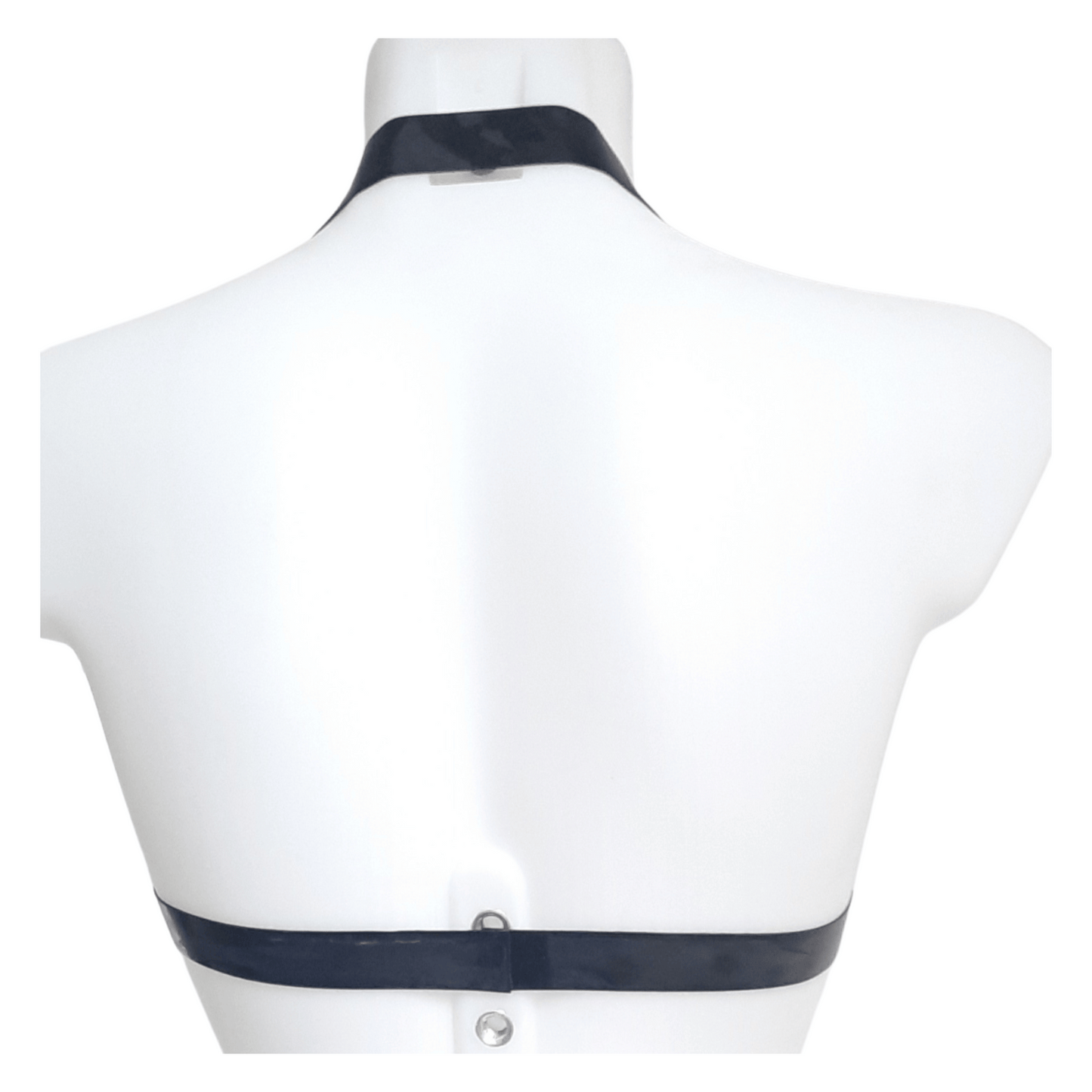 Back view showing black band & halter strap