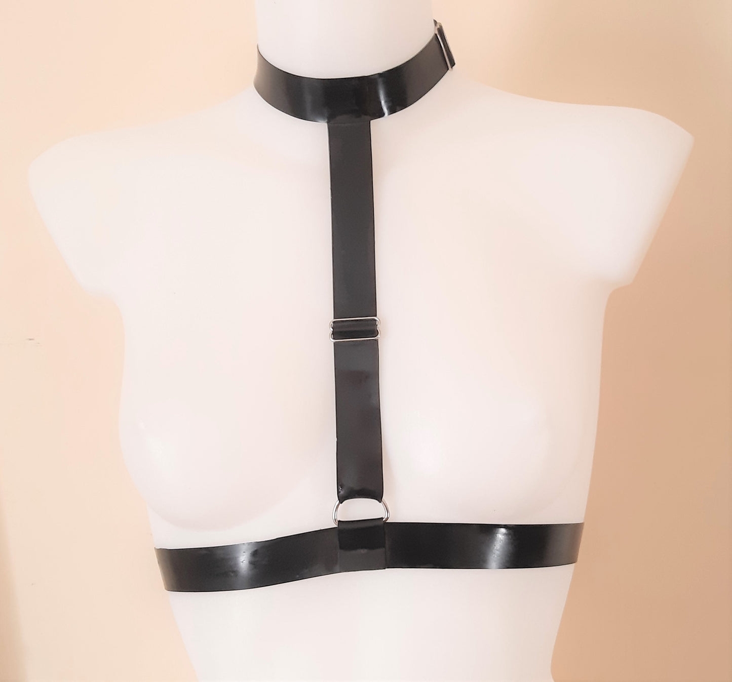 Black Latex D Ring Chest Harness with Collar