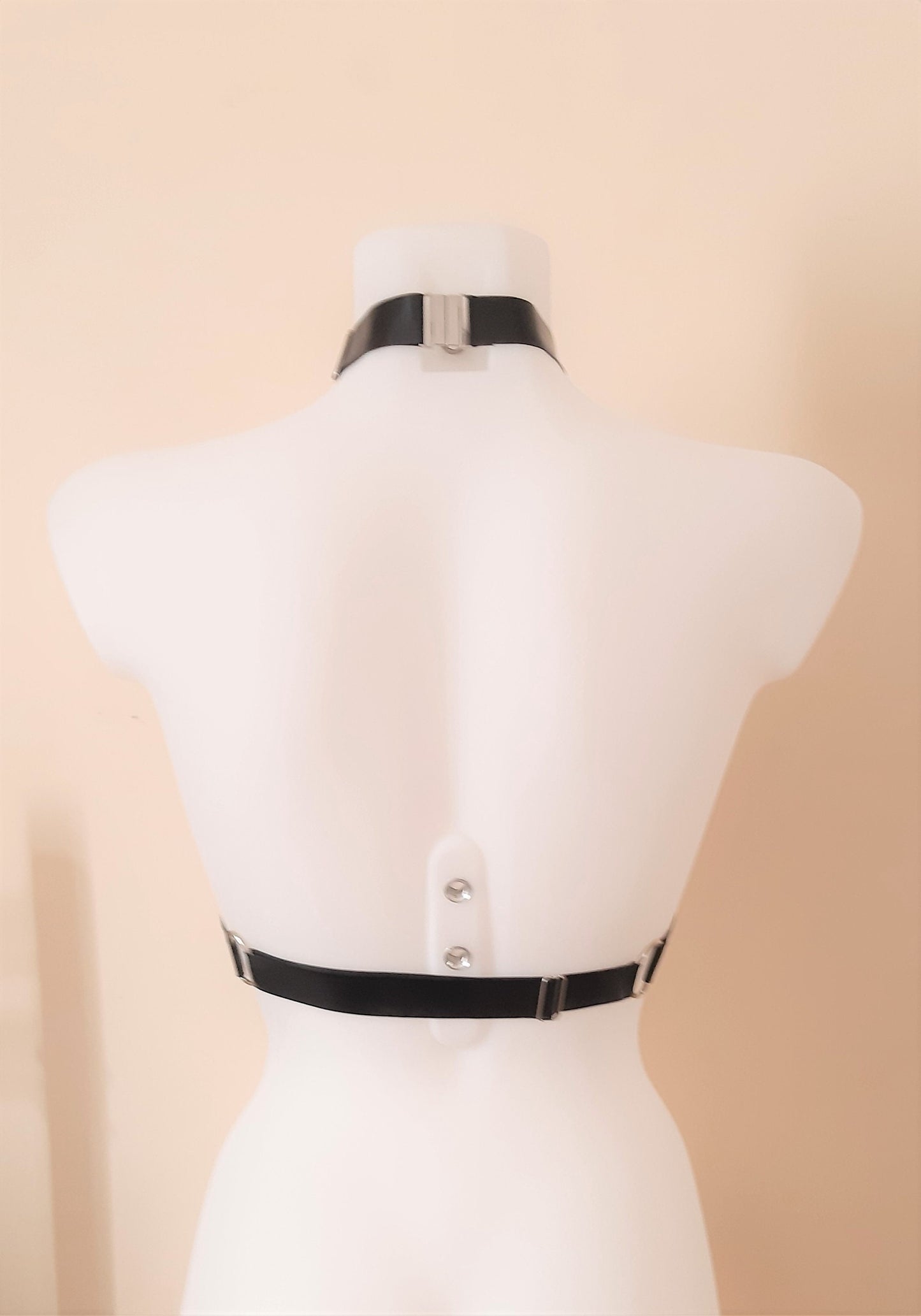 Black Latex D Ring Chest Harness with Collar